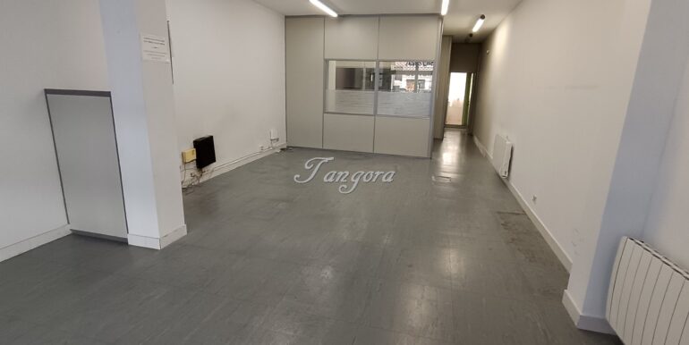 1759312179095 (Copy)