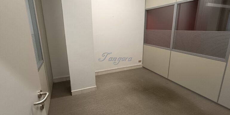 1759312213497 (Copy)