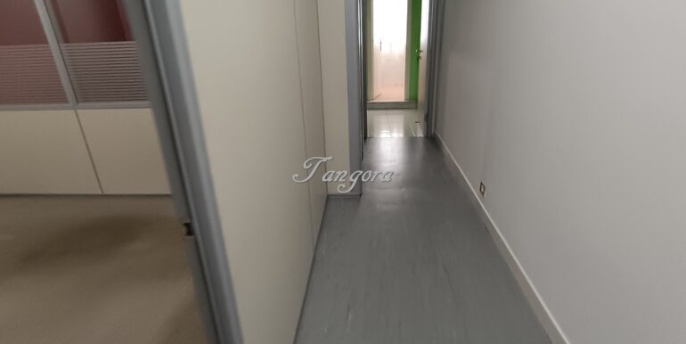 1759312213648 (Copy)