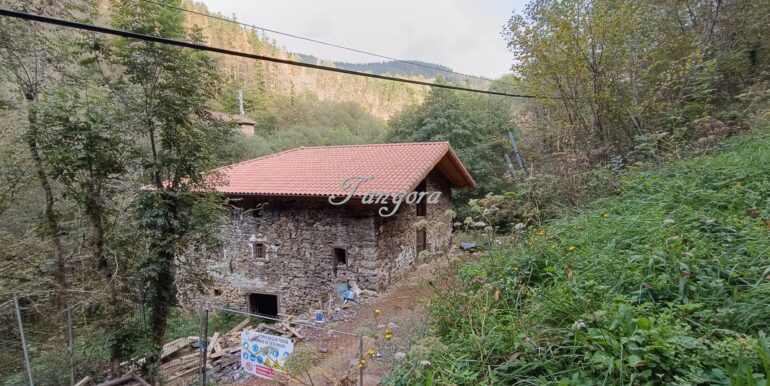 1759994039131 (Copy)