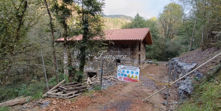 1759994039176 (Copy)