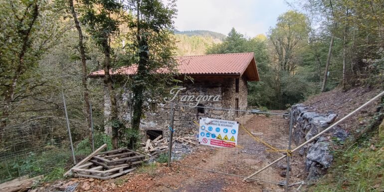 1759994039206 (Copy)