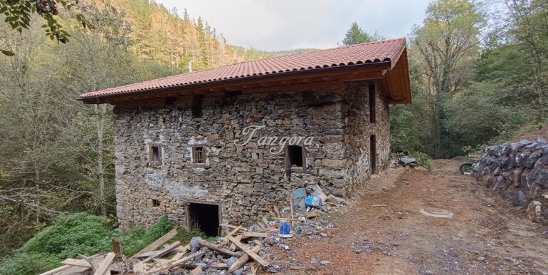 1759994039221 (Copy)