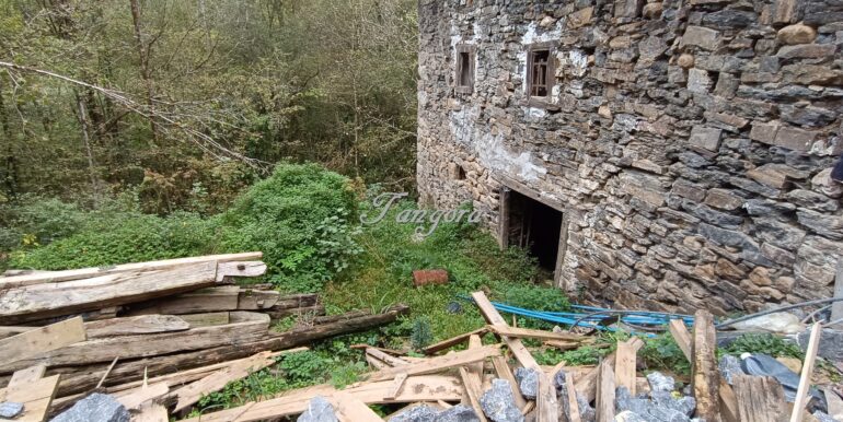 1759994039236 (Copy)