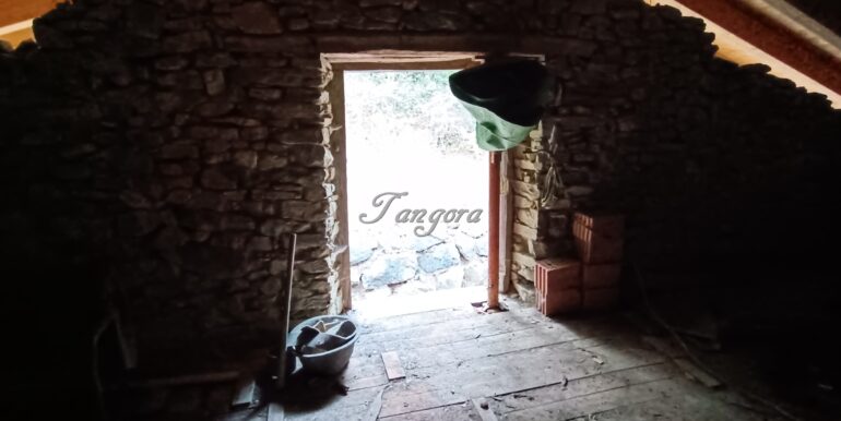 1759994063713 (Copy)