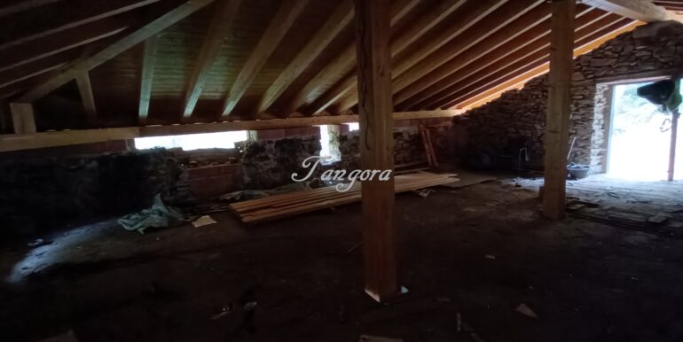 1759994063764 (Copy)