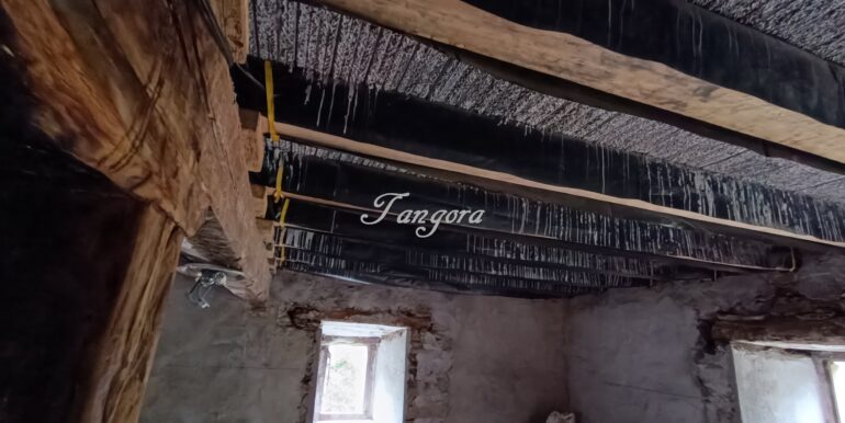 1759994084040 (Copy)