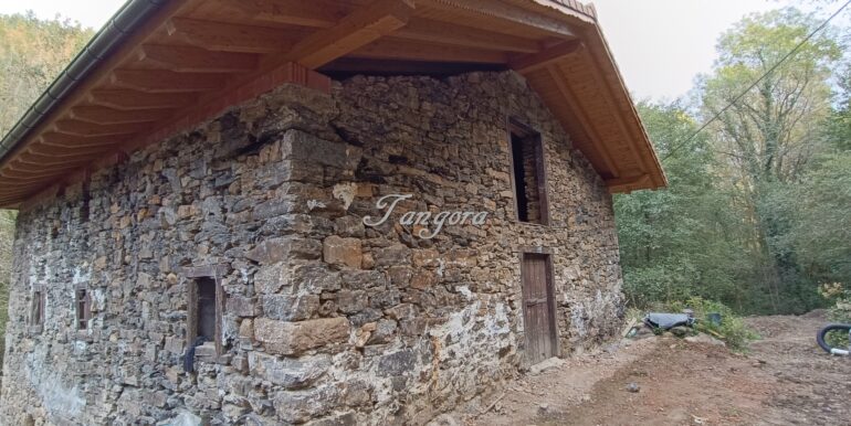 1759994084193 (Copy)