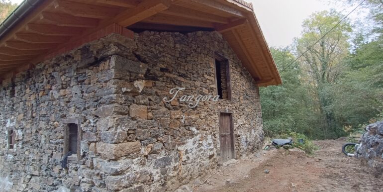 1759994084211 (Copy)