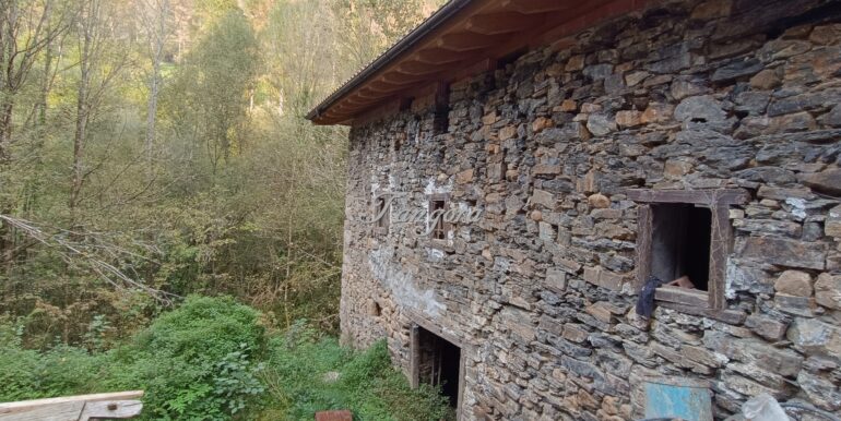 1759994084244 (Copy)