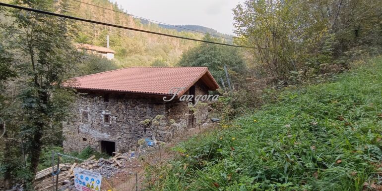 1759994100700 (Copy)