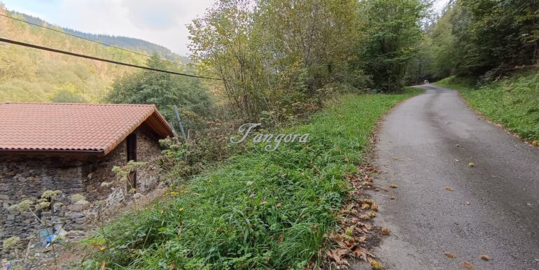 1759994100734 (Copy)