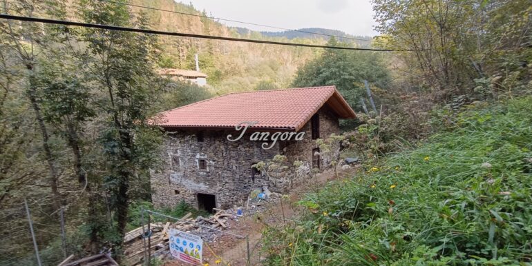 1759994100750 (Copy)