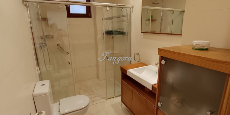 1760702451213 (Copy)