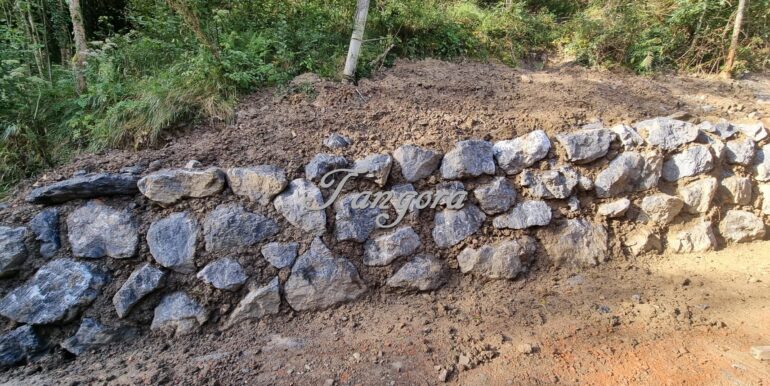 IMG-20251008-WA0020 (Copy)