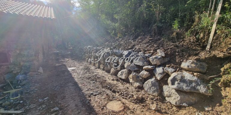 IMG-20251008-WA0022 (Copy)