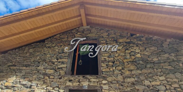 IMG-20251009-WA0038 (Copy)