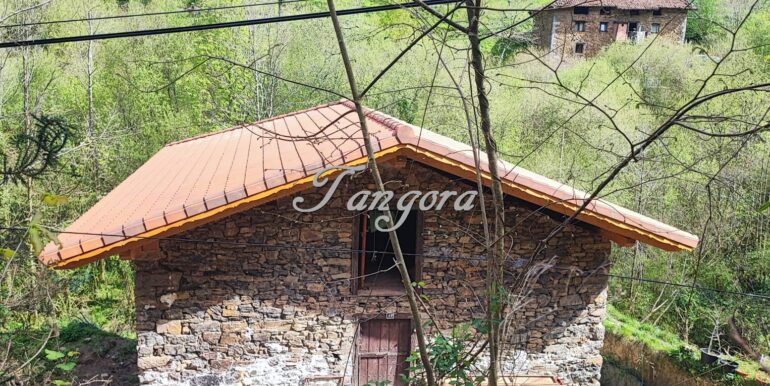 IMG-20251009-WA0040 (Copy)