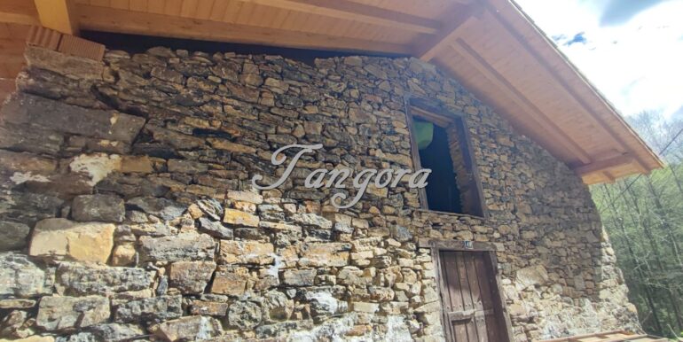 IMG-20251009-WA0041 (Copy)