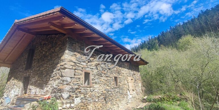 IMG-20251009-WA0044 (Copy)