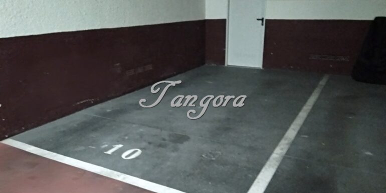 IMG_20200219_161840 (Copy)