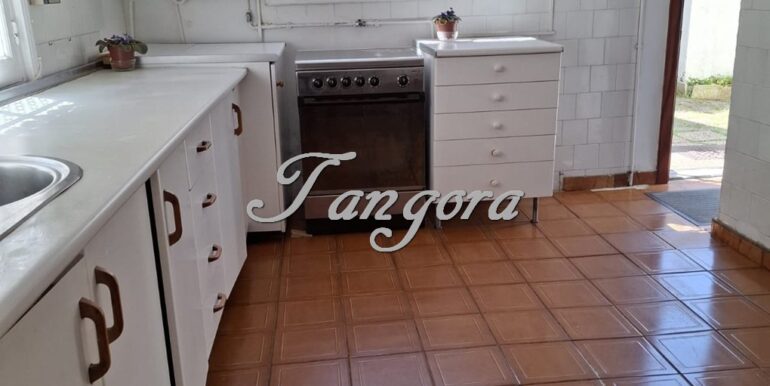 1763135867656 (Copy)