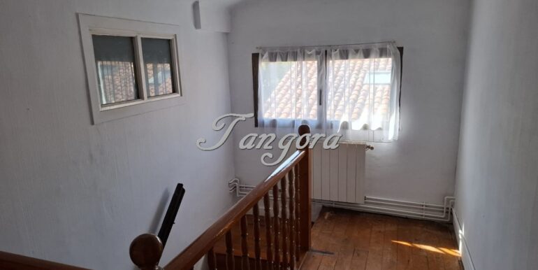 1763135867674 (Copy)