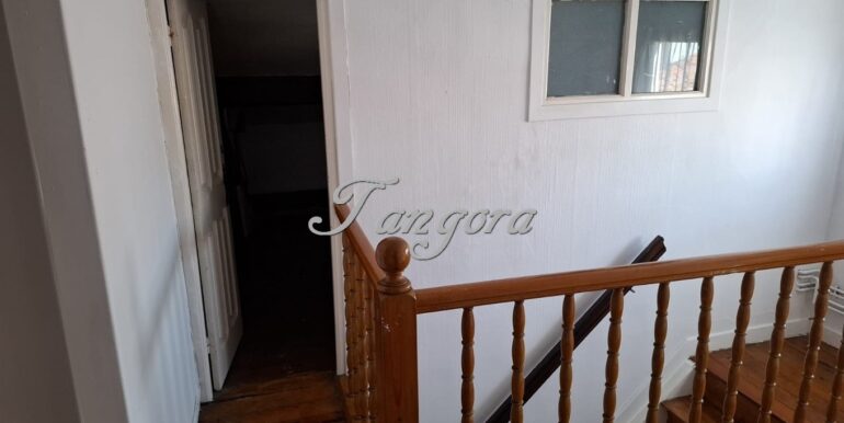 1763135867760 (Copy)