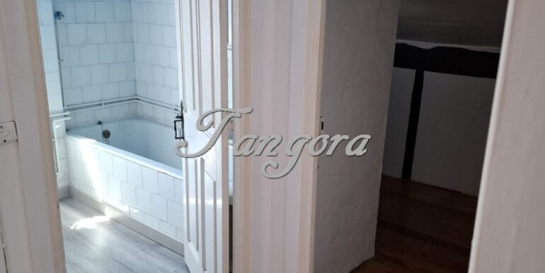 1763135867782 (Copy)