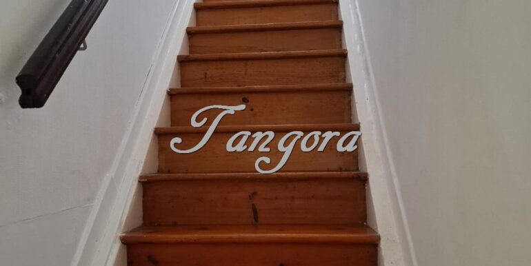 1763135867822 (Copy)