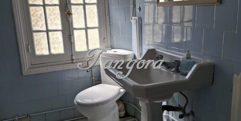 1763135867843 (Copy)