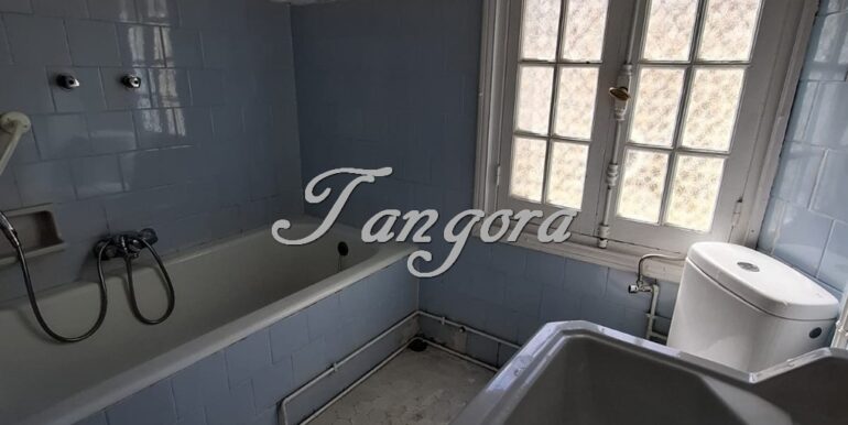 1763135918569 (Copy)