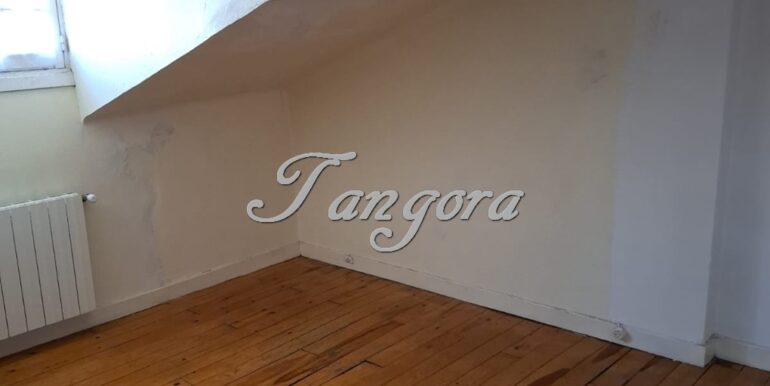 1763135918596 (Copy)