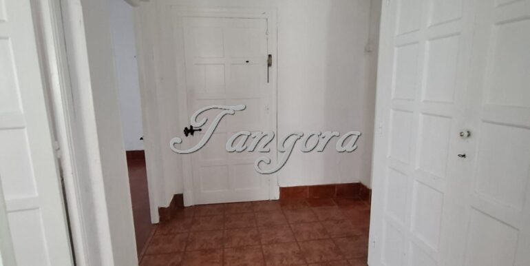 1763135918607 (Copy)