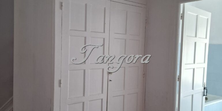 1763135918633 (Copy)