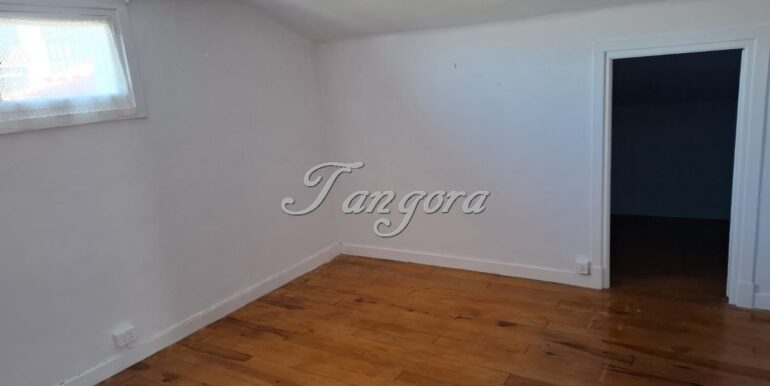 1763135918646 (Copy)