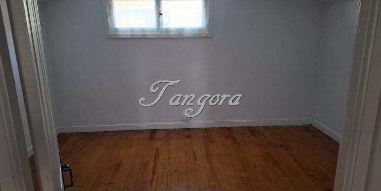 1763135918658 (Copy)