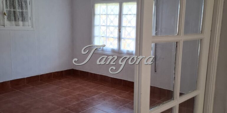 1763135918684 (Copy)