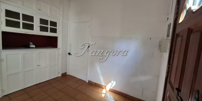 1763135918709 (Copy)