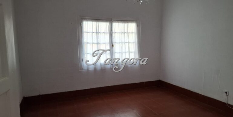 1763135959326 (Copy)