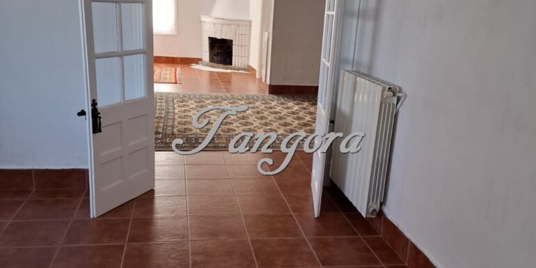 1763135959339 (Copy)