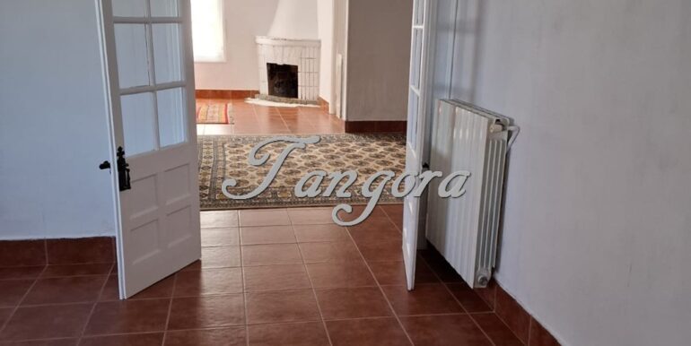 1763135959379 (Copy)