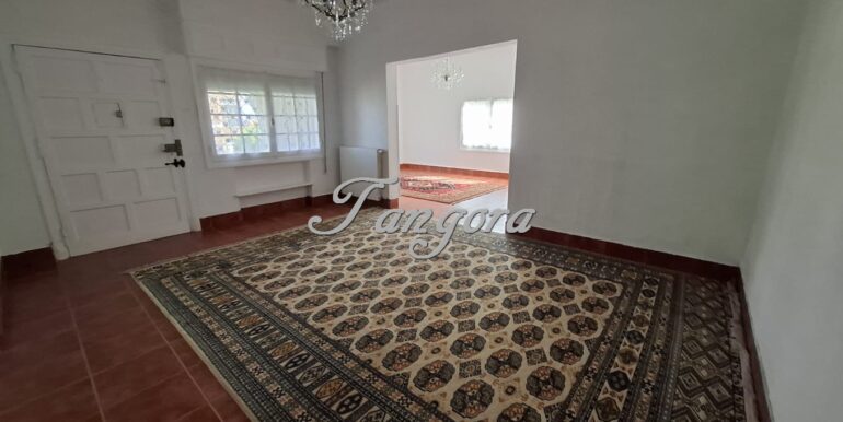 1763135959391 (Copy)