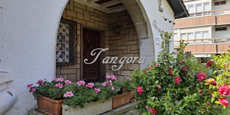 1763135959404 (Copy)