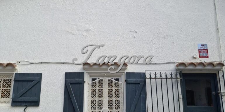 1763135959416 (Copy)