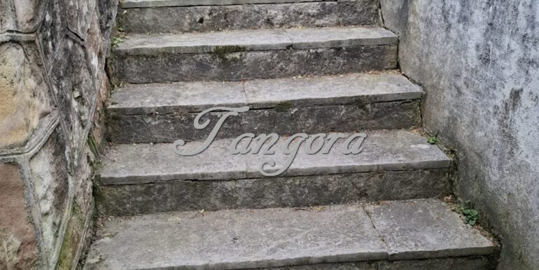 1763135959443 (Copy)