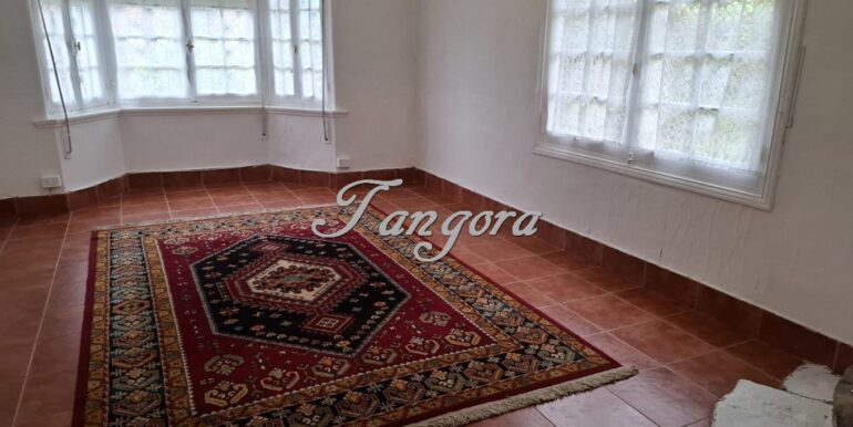 1763136056589 (Copy)