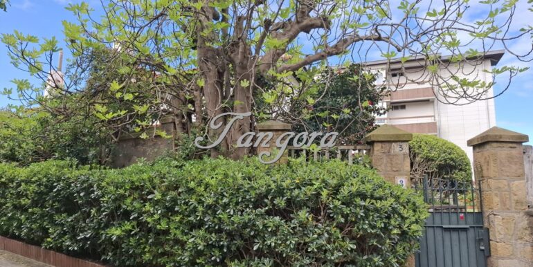 1763136056640 (Copy)