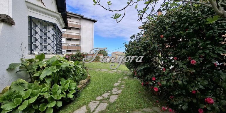 1763136056679 (Copy)