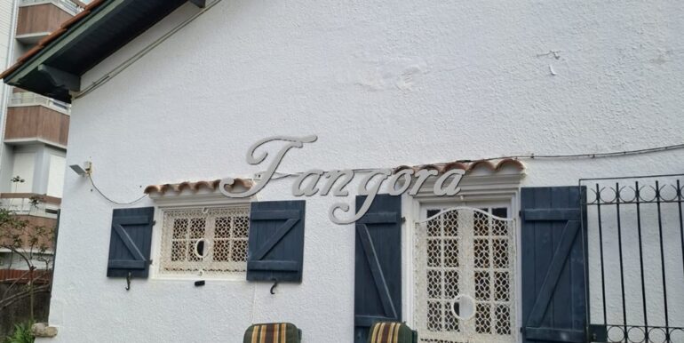 1763136056722 (Copy)